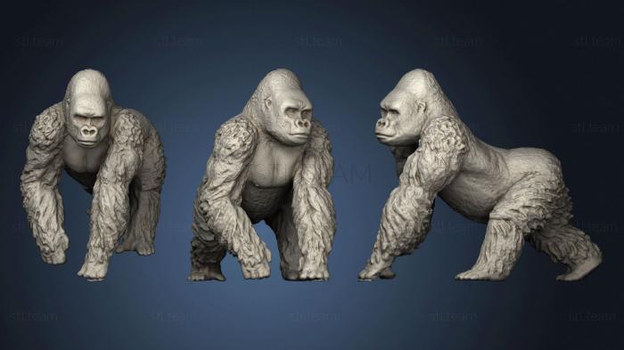 3D model Gorilla (STL)